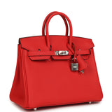 Hermes Birkin 25 Rouge de Coeur Togo Palladium Hardware - Thumbnail View 2