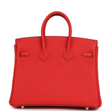 Hermes Birkin 25 Rouge de Coeur Togo Palladium Hardware - Thumbnail View 4