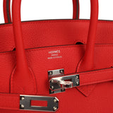 Hermes Birkin 25 Rouge de Coeur Togo Palladium Hardware - Thumbnail View 7