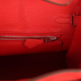 Hermes Birkin 25 Rouge de Coeur Togo Palladium Hardware - Thumbnail View 9