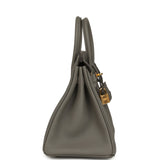 Hermes Birkin 25 Gris Meyer Togo Gold Hardware