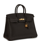Hermes Birkin 25 Bai-Brun Togo Gold Hardware - Thumbnail View 2