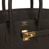 Hermes Birkin 25 Bai-Brun Togo Gold Hardware - Thumbnail View 7