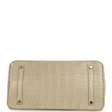 Pre-owned Hermes Birkin 35 Beton Matte Alligator Gold Hardware