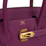 Pre-owned Hermes Birkin 30 Anemone Togo Gold Hardware - Thumbnail View 7