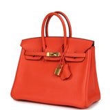 Pre-owned Hermes Birkin 25 Orange Poppy Togo Gold Hardware - Thumbnail View 5
