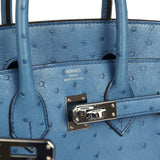 Pre-owned Hermes Birkin 25 Mykonos Ostrich Palladium Hardware - Thumbnail View 7