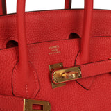 Pre-owned Hermes Birkin 25 Rouge Pivone Togo Gold Hardware - Thumbnail View 7