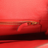 Pre-owned Hermes Birkin 25 Rouge Pivone Togo Gold Hardware - Thumbnail View 9