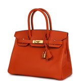 Hermes Birkin 30 Feu Epsom Gold Hardware