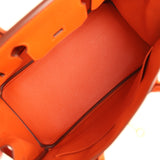 Hermes Birkin 30 Feu Epsom Gold Hardware