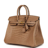 Hermes Birkin 25 Chai Matte Alligator Gold Hardware