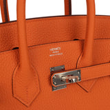Hermes Birkin 25 Orange Togo Palladium Hardware