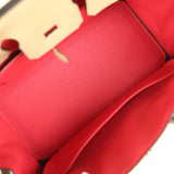 Hermes Birkin 25 Trench Verso Togo Palladium Hardware