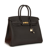 Hermes Birkin 35 Bai-Brun Togo Gold Hardware - Thumbnail View 2