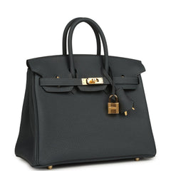 Hermes Birkin 25 Gris Misty Togo Gold Hardware