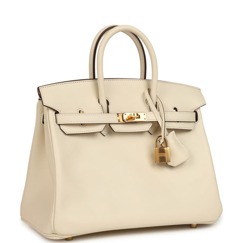 Hermes Birkin 25 Nata Swift Gold Hardware