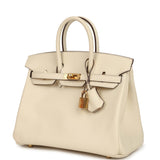Hermes Birkin 25 Nata Swift Gold Hardware - Thumbnail View 5