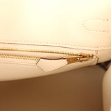 Hermes Birkin 25 Nata Swift Gold Hardware - Thumbnail View 9