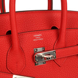 Hermes Birkin 25 Rouge Radieux Togo Palladium Hardware - Thumbnail View 7