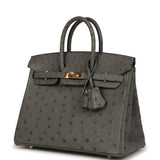 Pre-owned Hermes Birkin 25 Gris Meyer Ostrich Gold Hardware - Thumbnail View 5