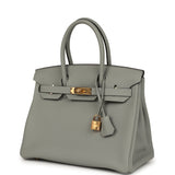Hermes Birkin 30 Gris Mouette Togo Gold Hardware - Thumbnail View 5