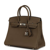 Hermes Birkin 25 Toundra Togo Palladium Hardware - Thumbnail View 5