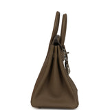 Hermes Birkin 25 Toundra Togo Palladium Hardware - Thumbnail View 3