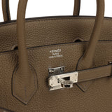 Hermes Birkin 25 Toundra Togo Palladium Hardware - Thumbnail View 7