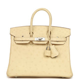 Hermes Birkin 25 Vanille Ostrich Palladium Hardware - Thumbnail View 1
