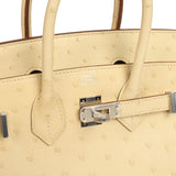 Hermes Birkin 25 Vanille Ostrich Palladium Hardware - Thumbnail View 7