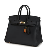 Hermes Birkin 25 Caban Togo Gold Hardware - Thumbnail View 5