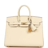 Hermes Birkin Sellier 25 Nata Epsom Gold Hardware - Thumbnail View 1