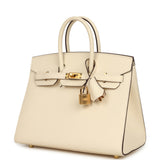 Hermes Birkin Sellier 25 Nata Epsom Gold Hardware - Thumbnail View 5
