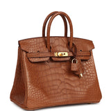 Hermes Birkin 25 Gold Matte Alligator Gold Hardware