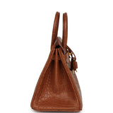 Hermes Birkin 25 Gold Matte Alligator Gold Hardware