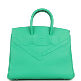 Hermes Birkin Shadow 25 Menthe Swift Palladium Hardware