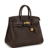 Hermes Birkin 25 Ebene Barenia Faubourg Gold Hardware - Thumbnail View 2