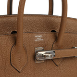 Hermes Birkin 25 Alezan Togo Palladium Hardware - Thumbnail View 7