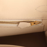 Hermes Birkin 30 Craie Togo Gold Hardware - Thumbnail View 9