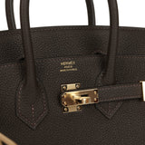 Hermes Birkin 25 Bai-Brun Togo Permabrass Hardware - Thumbnail View 7