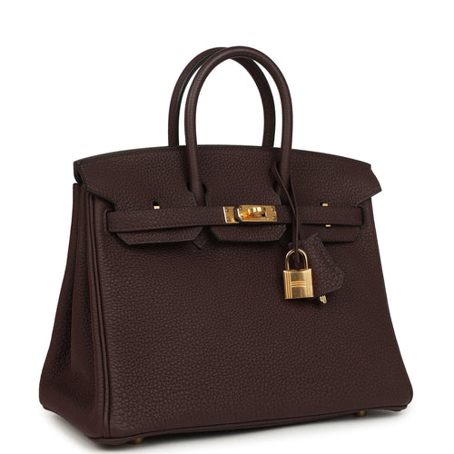 Hermes Birkin 25 Rouge Sellier Togo Gold Hardware