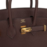 Hermes Birkin 25 Rouge Sellier Togo Gold Hardware - Thumbnail View 7