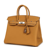 Hermes Birkin 25 Naturel Sable Togo Palladium Hardware - Thumbnail View 5