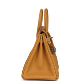 Hermes Birkin 25 Naturel Sable Togo Palladium Hardware - Thumbnail View 3