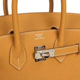 Hermes Birkin 25 Naturel Sable Togo Palladium Hardware - Thumbnail View 7