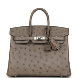 Hermes Birkin 25 Mousse Ostrich Boreal Palladium Hardware - Thumbnail View 1