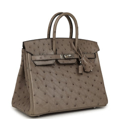 Hermes Birkin 25 Mousse Ostrich Boreal Palladium Hardware