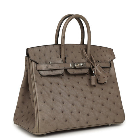 Hermes Birkin 25 Mousse Ostrich Boreal Palladium Hardware