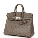 Hermes Birkin 25 Mousse Ostrich Boreal Palladium Hardware - Thumbnail View 5